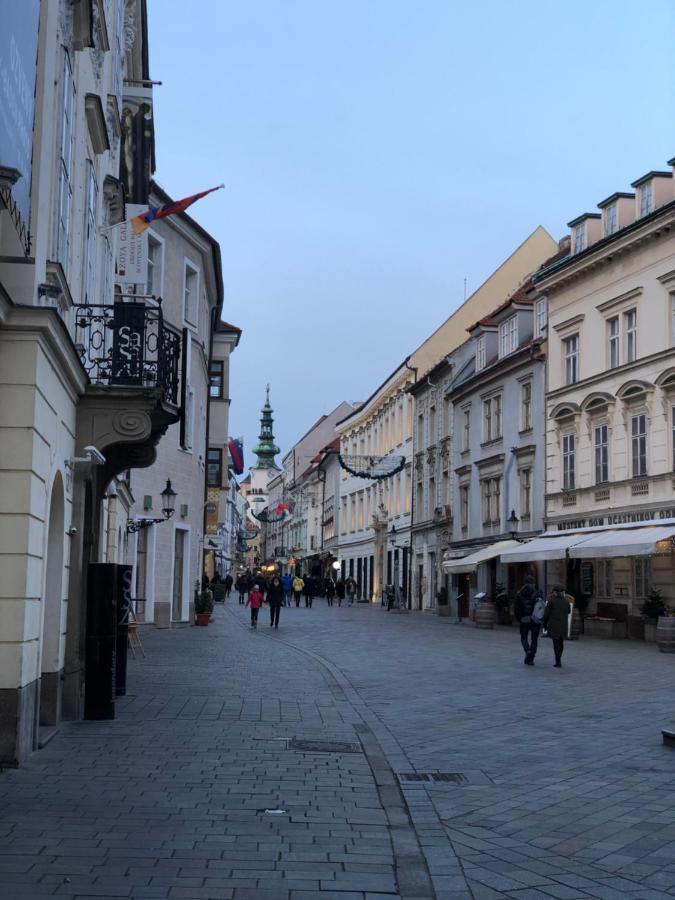 Pleasant Apartment Under The Bratislava Castle Экстерьер фото